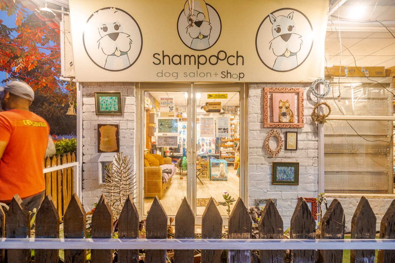 Pet Grooming Services - Professional service photo 1